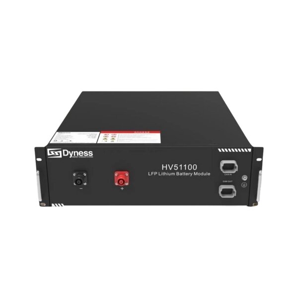 Картинка - Аккумуляторная батарея Dyness HV51100