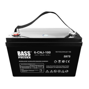 Аккумулятор Bass Polska AGM VRLA BP-5975