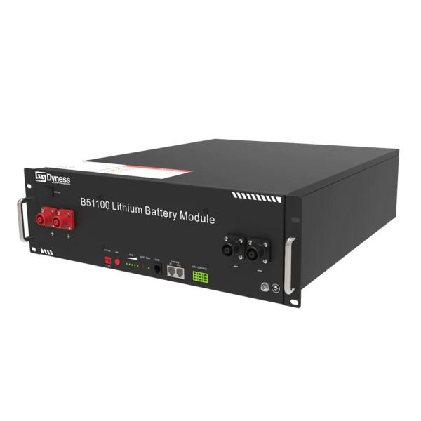 Фото - Акумуляторна батарея Dyness B51100