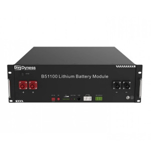 Аккумуляторная батарея Dyness B51100