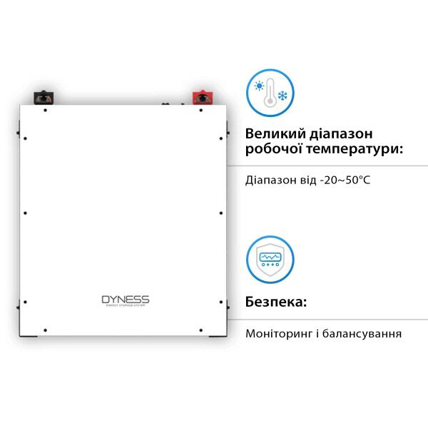 Фото - Акумуляторний модуль Dyness A48100