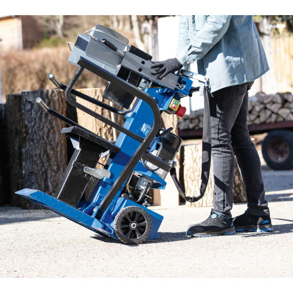 Картинка - Дровокол гидравлический Scheppach Compact10t