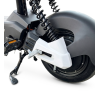 Картинка 10 - Велоскутер аккумуляторный GTM R-800-S