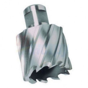 Фреза AGP V5035-36 с твердосплавными напайками д.35Х36 мм