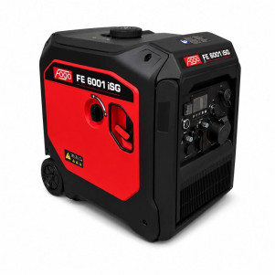 Генератор газобензиновый инверторный Fogo FE6001iSG