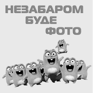 Головка с магнитом Wiha SW 9x55 мм, E 6.3, CrV