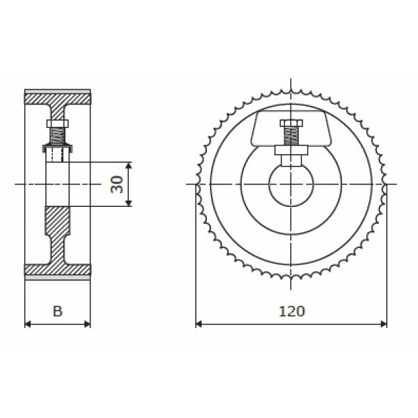 Картинка - Ролик 120-20-30 Z chrom Профиль D, скошенный SCM