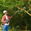 Фото 3 - Акумуляторний висоторіз Bosch UniversalChainPole 18