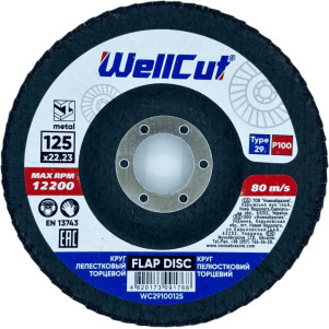 Круг пелюстковий торцевий WellCut 29 125x22,23 мм, P100