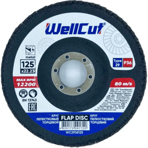 Круг пелюстковий торцевий WellCut 29 125x22,23 мм, P36