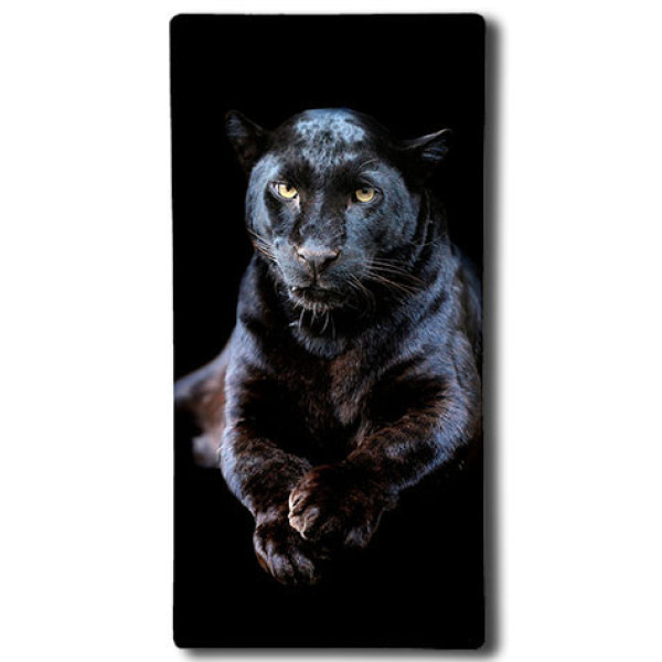 Картинка - Обогреватель стеклокерамический HGlass IGH 6012 F Premium V