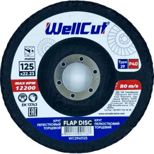 Круг пелюстковий торцевий WellCut 29 125x22,23 мм, P40