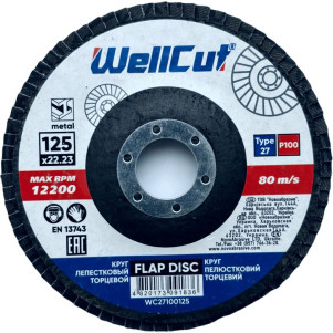 Круг пелюстковий торцевий WellCut 27 125x22,23 мм, P100