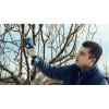 Фото 11 - Акумуляторний секатор Bosch Pro Pruner без АКБ