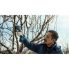 Фото 5 - Акумуляторний секатор Bosch Pro Pruner без АКБ
