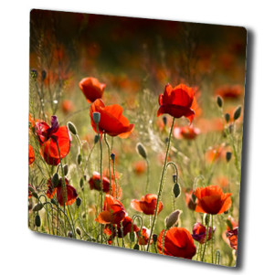 Обогреватель стеклокерамический HGlass IGH 6060 F Basic