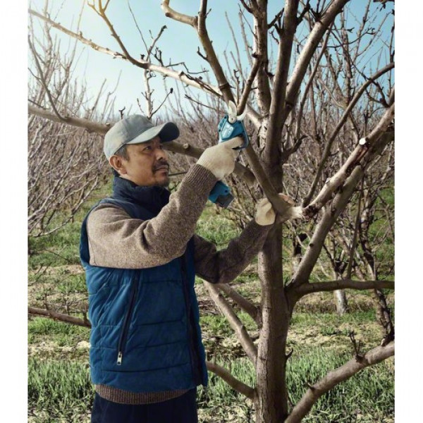 Фото - Акумуляторний секатор Bosch Pro Pruner