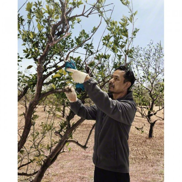 Фото - Акумуляторний секатор Bosch Pro Pruner