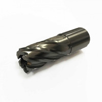 Фреза кольцевая DD-CUT HSS DNHX 18Х30 Weldon 19