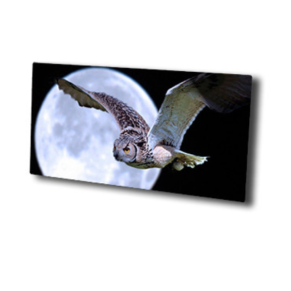 Картинка - Обогреватель стеклокерамический HGlass IGH 6012 F Basic