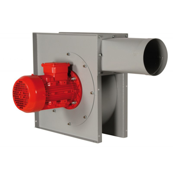 Фото - Улітку для аспірації Holzmann FAN 2900