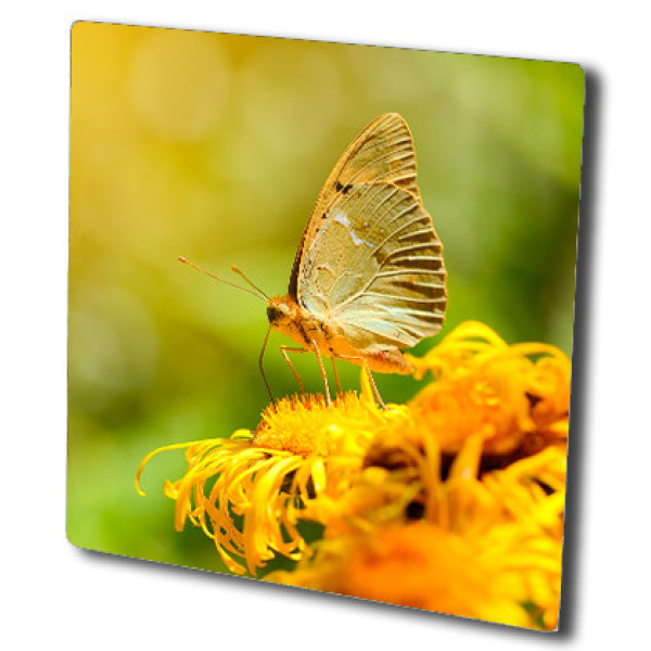 Картинка - Обогреватель стеклокерамический HGlass IGH 6060 F Premium