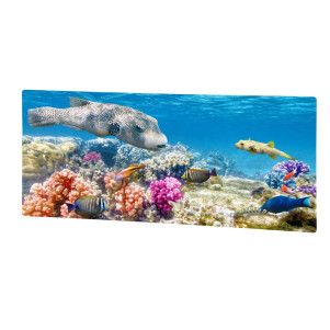 Обогреватель стеклокерамический HGlass IGH 4080 F Premium H