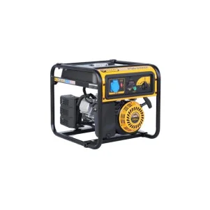 Бензиновый генератор PEZAL PGG3100X