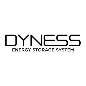 Dyness